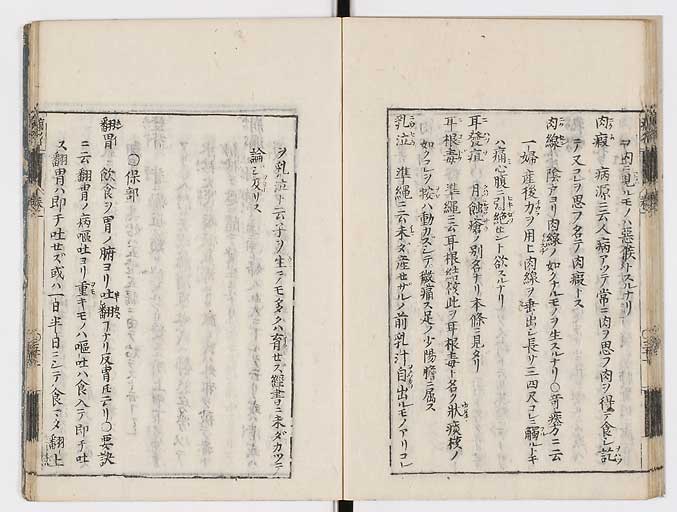 K0115s0065