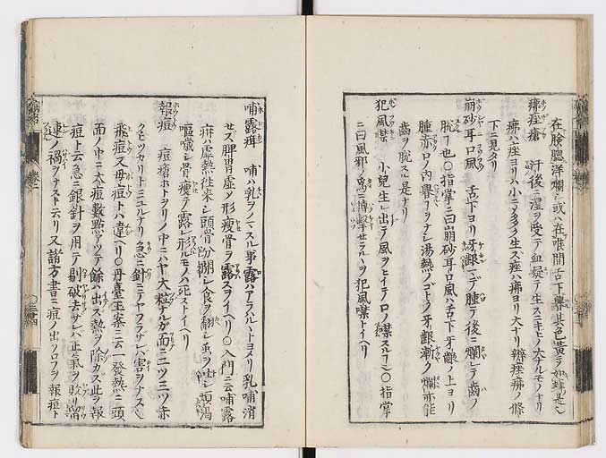 K0115s0067