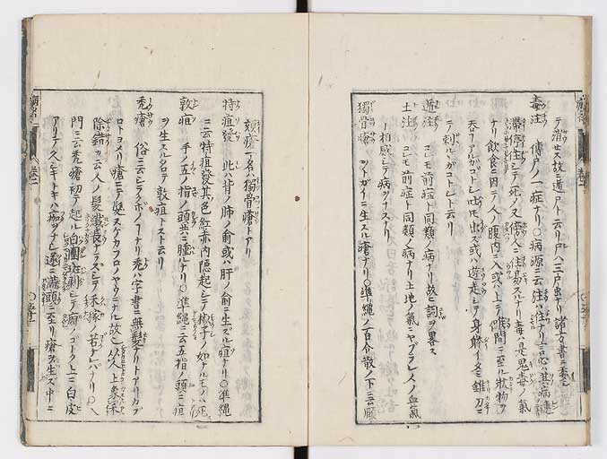 K0115s0084