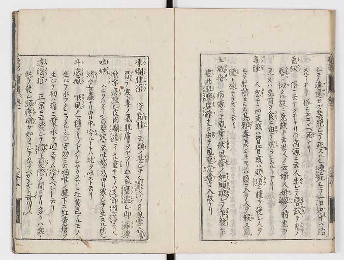 K0115s0086