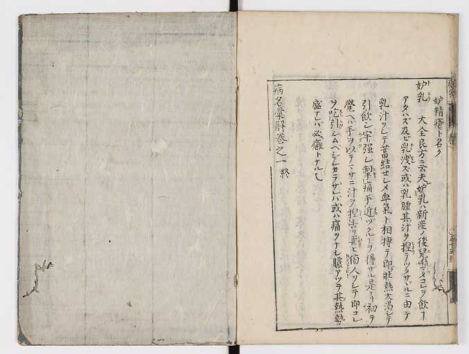 K0115s0089
