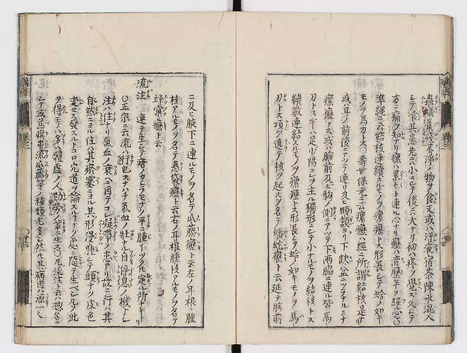 K0115s0106