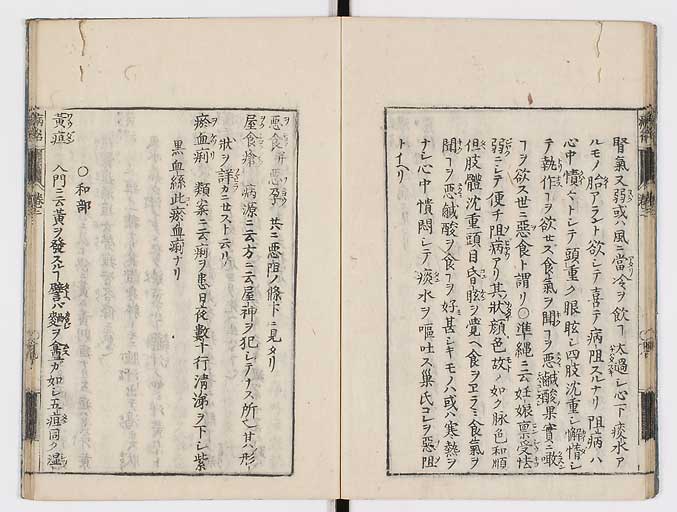 K0115s0110