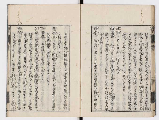 K0115s0120