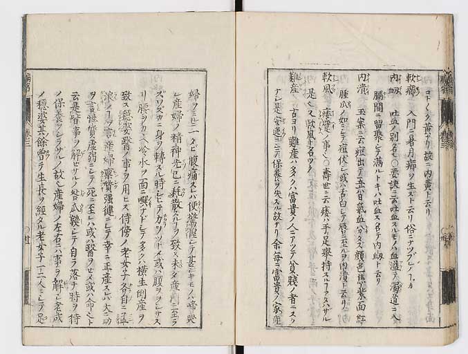 K0115s0164