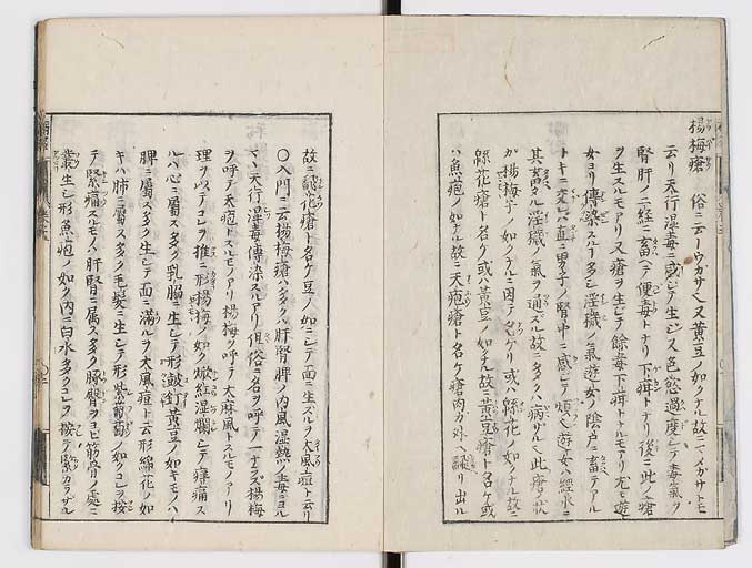 K0115s0196