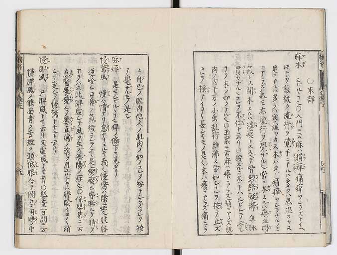 K0115s0199