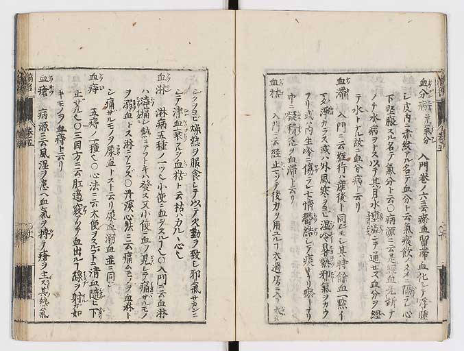 K0115s0205