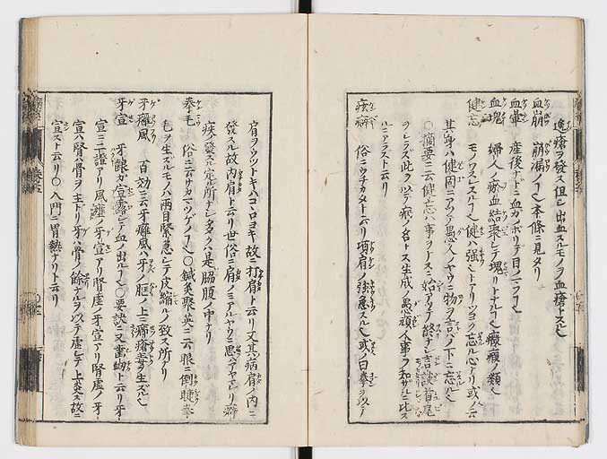 K0115s0206