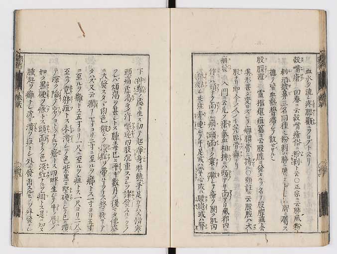 K0115s0229