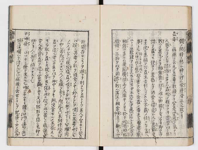 K0115s0233