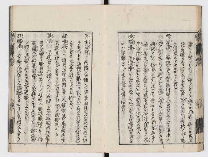 K0115s0236