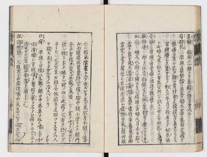 K0115s0238