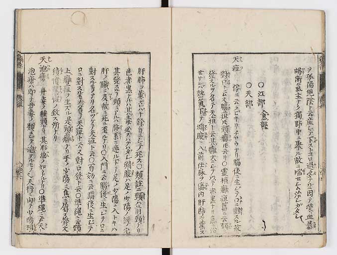 K0115s0239