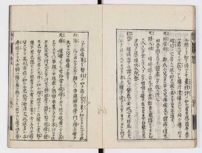 K0115s0249