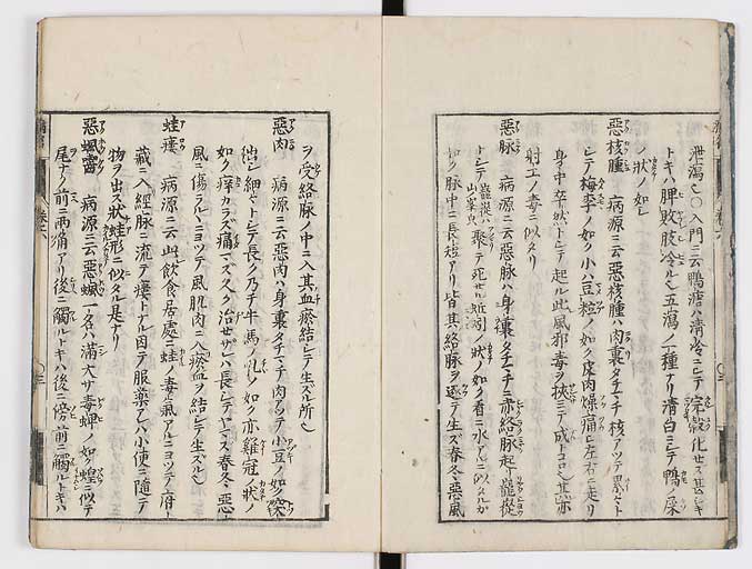 K0115s0256