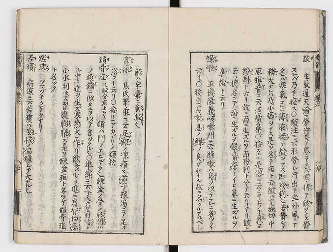K0115s0260