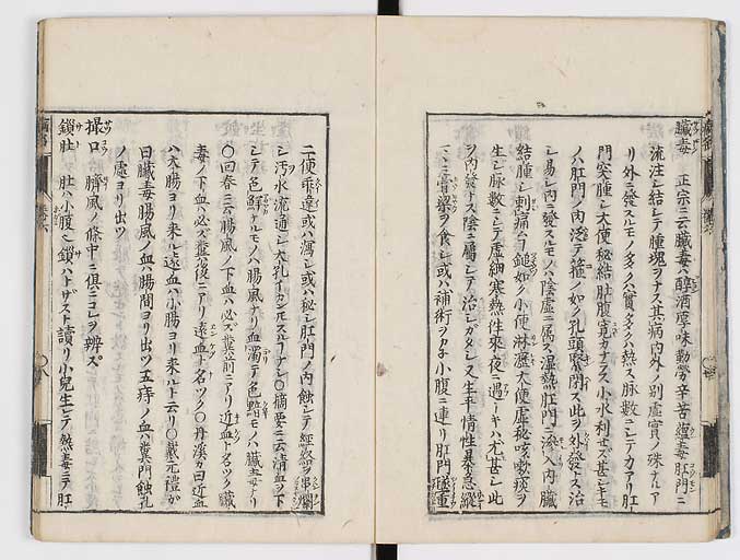 K0115s0261