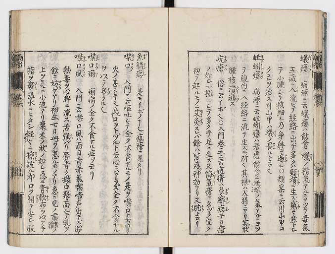 K0115s0272