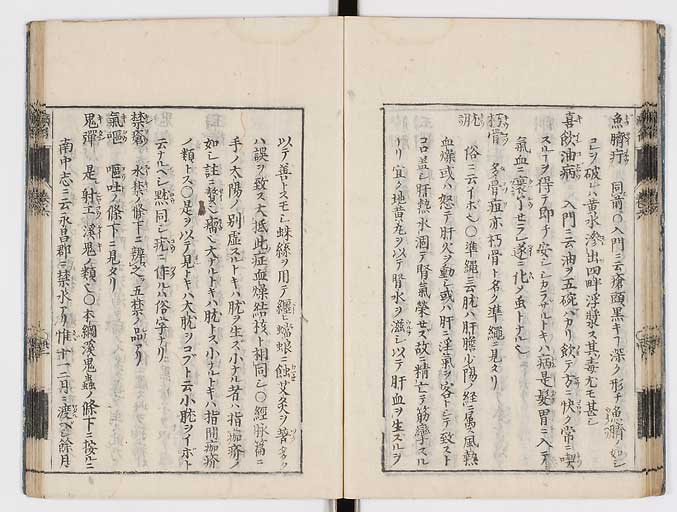 K0115s0284