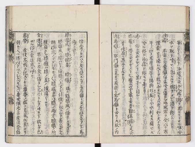 K0115s0308