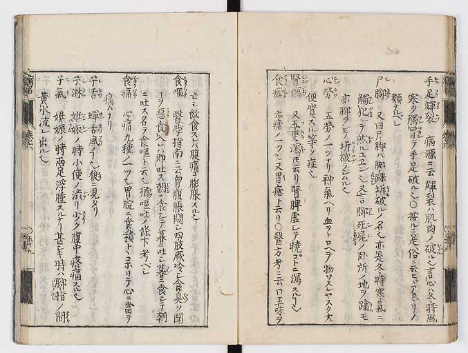 K0115s0313