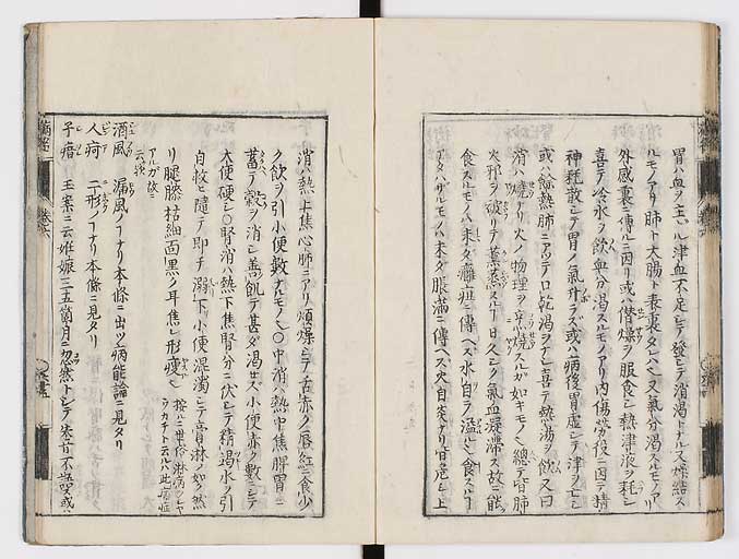 K0115s0319