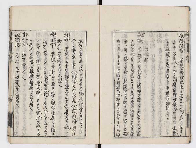 K0115s0341