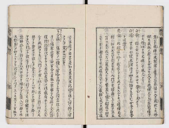 K0115s0345