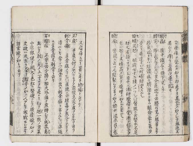 K0115s0359