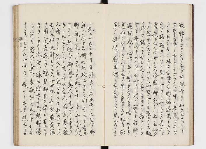 K0116s0020