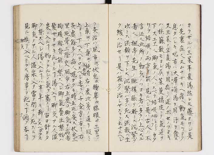 K0116s0021