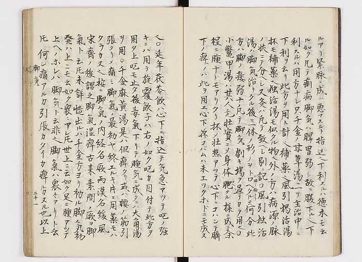 K0116s0024