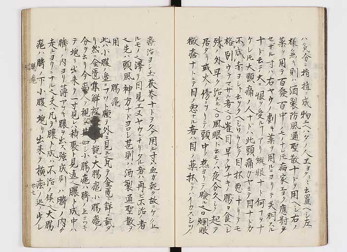 K0116s0030