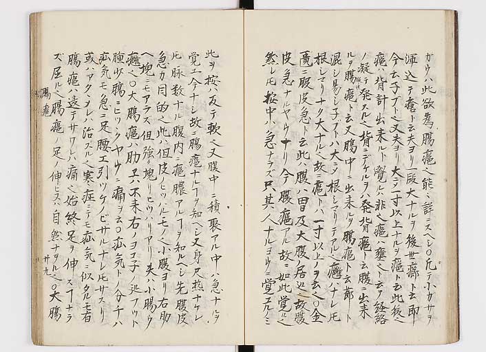 K0116s0032