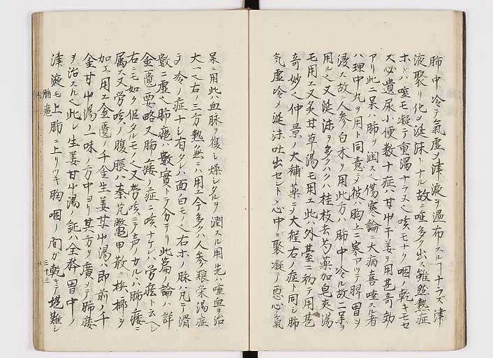 K0116s0036
