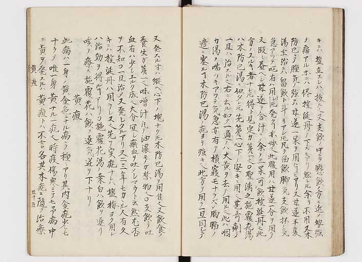 K0116s0059