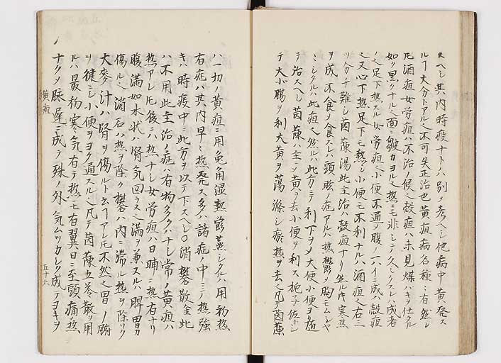 K0116s0060