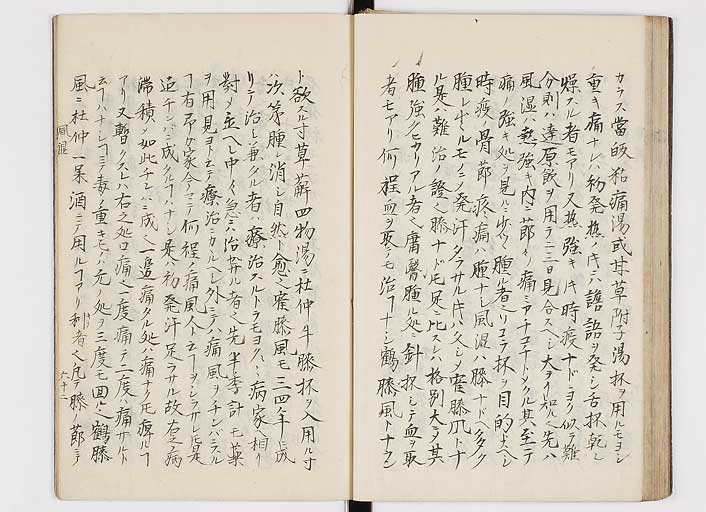 K0116s0066