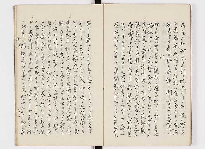 K0116s0067