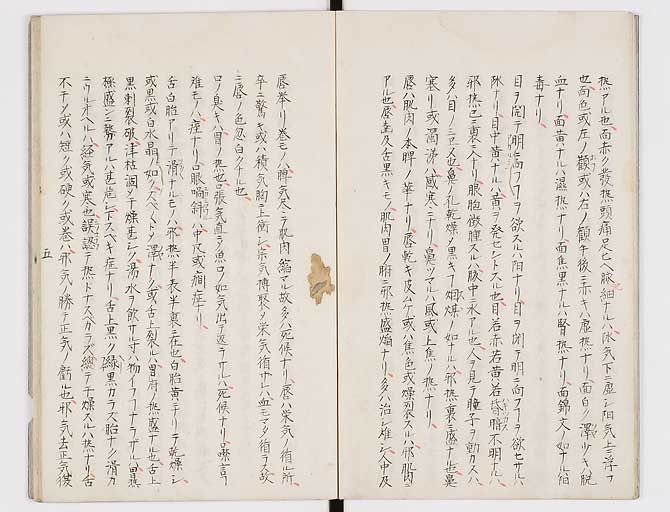 K0117s0006