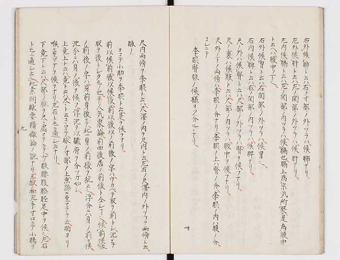 K0117s0010
