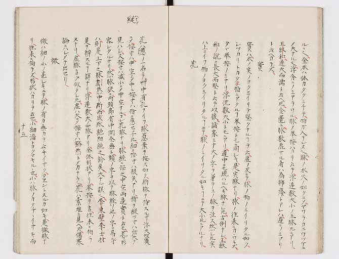 K0117s0016