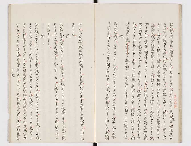 K0117s0018
