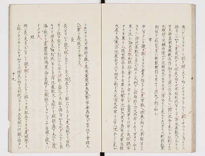 K0117s0020