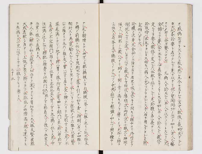 K0117s0026