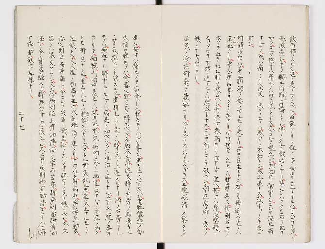 K0117s0028