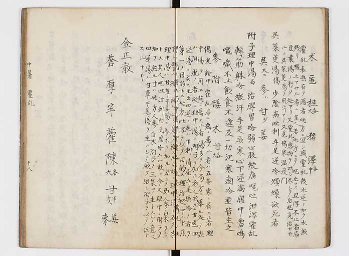 K0118s0019