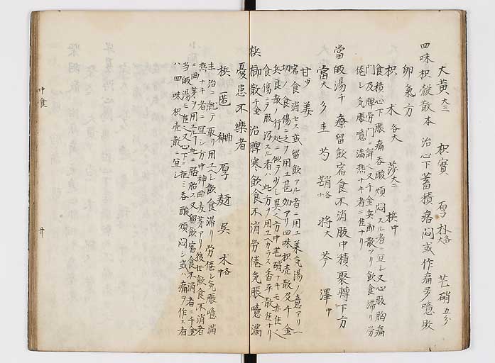 K0118s0021