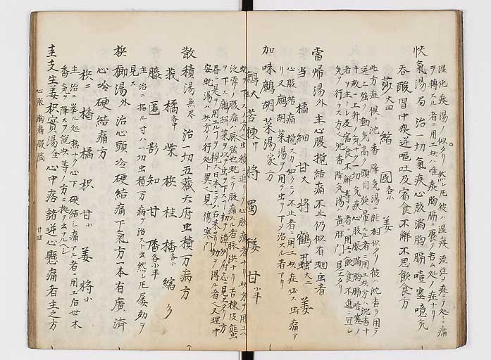 K0118s0025